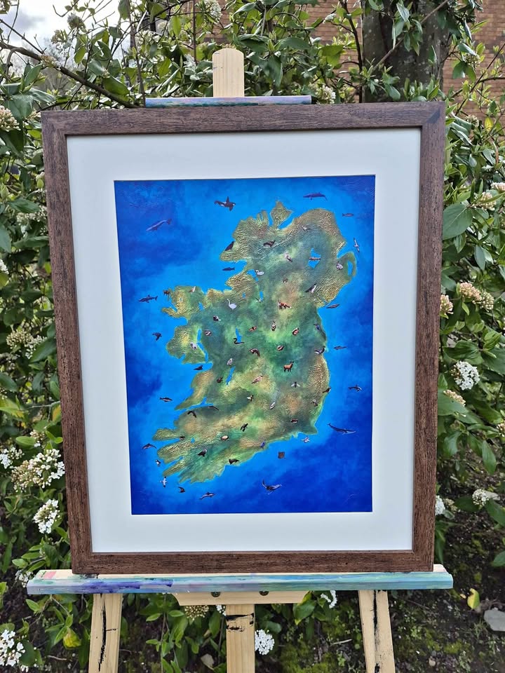 Wildlife Map of Ireland - Framed Art Print
