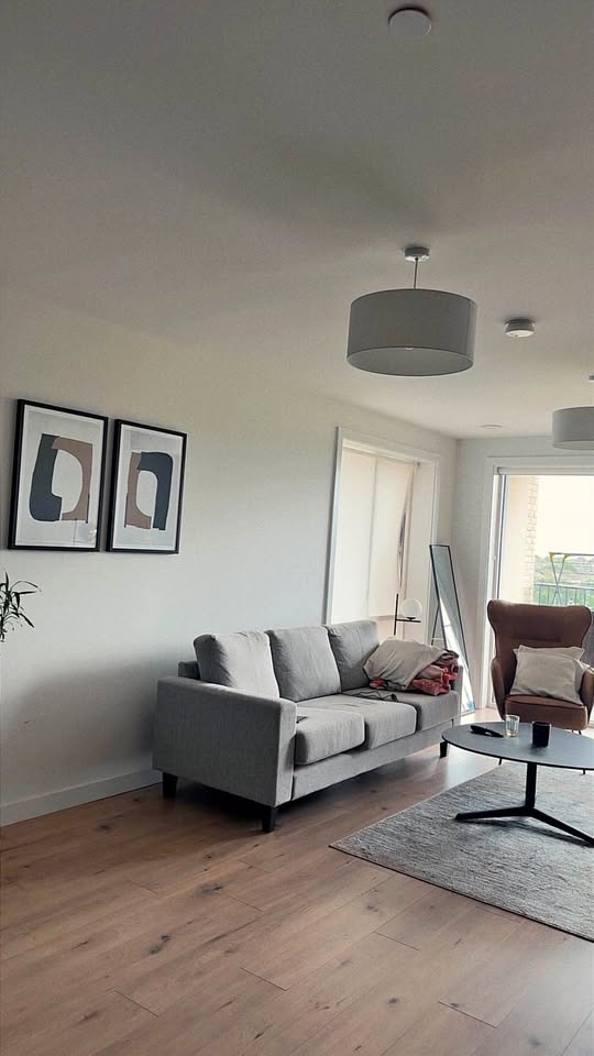 1BHK apartment to rent