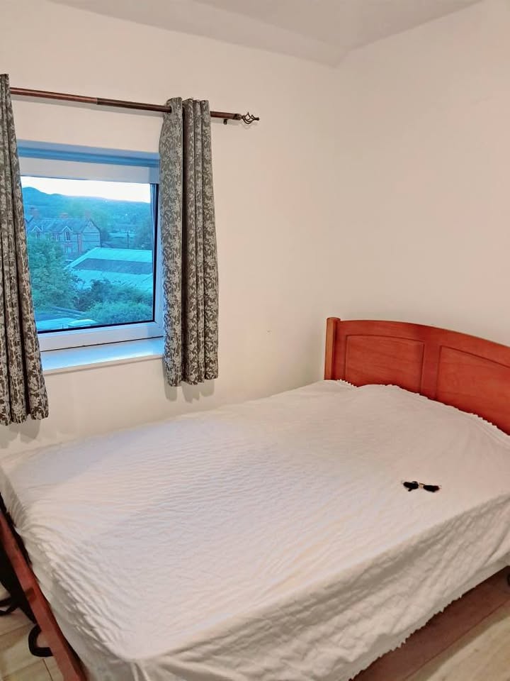 Looking for a good roommate